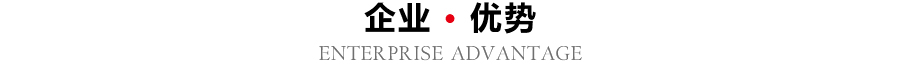 企業(yè)優(yōu)勢(shì) 企業(yè)優(yōu)勢(shì)